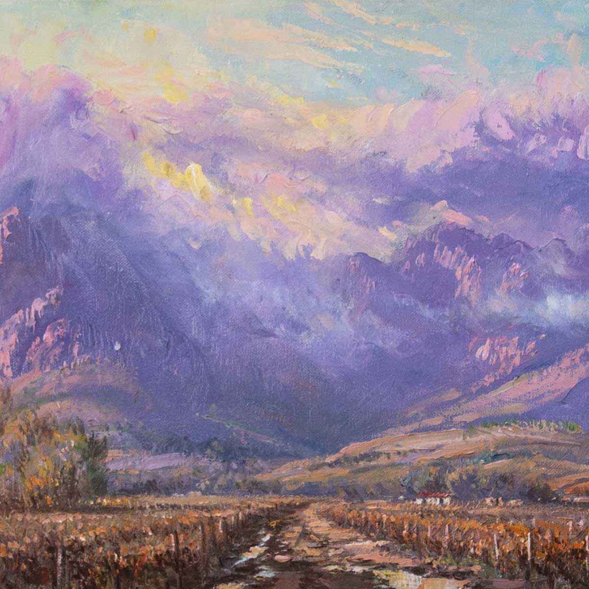 13678-252-2371 Casey vd Leek - Cape Winelands_dt