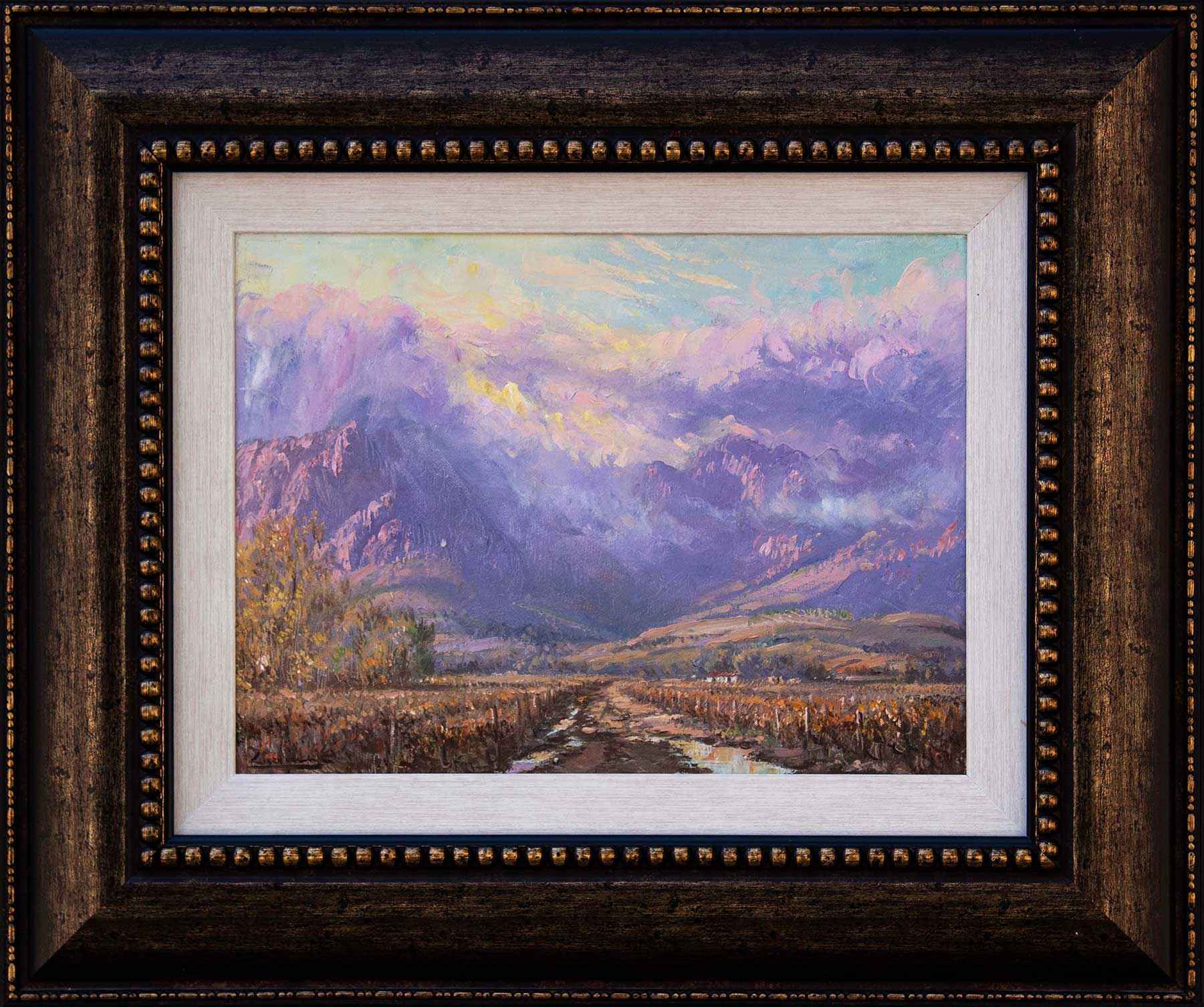 13678-252-2371 Casey vd Leek - Cape Winelands_fr