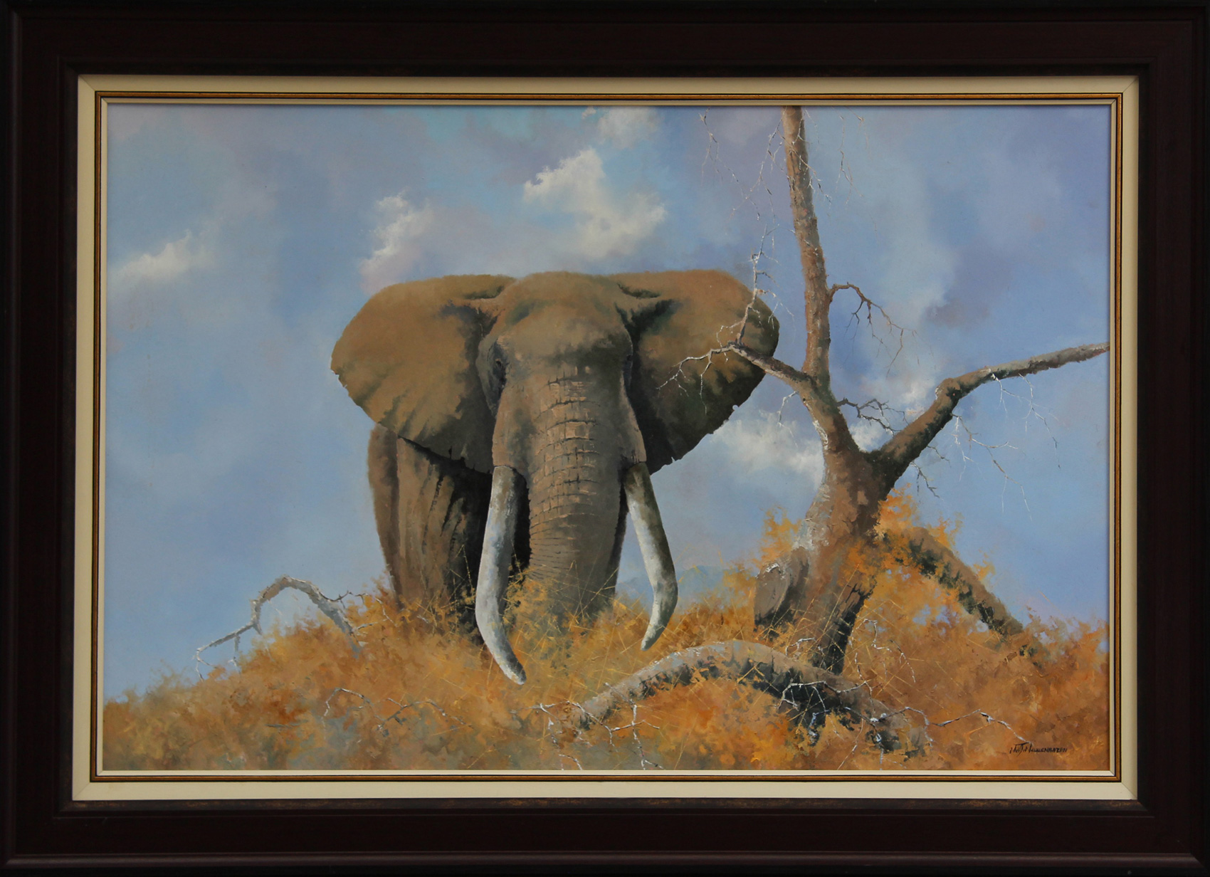 Neil_JV_Nievenhuizen_Elephant2_13873_341_IMG_3319_AFR