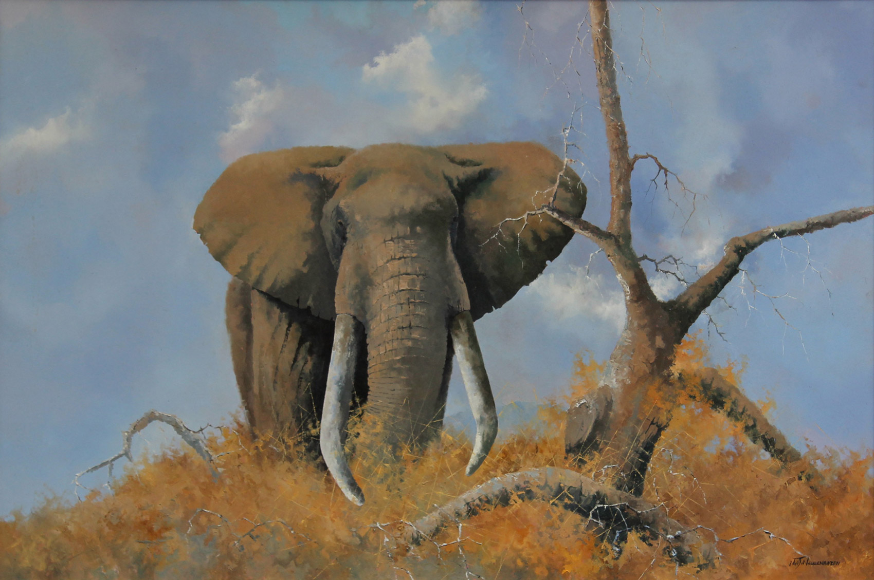 Neil_JV_Nievenhuizen_Elephant2_13873_341_IMG_3319_CR