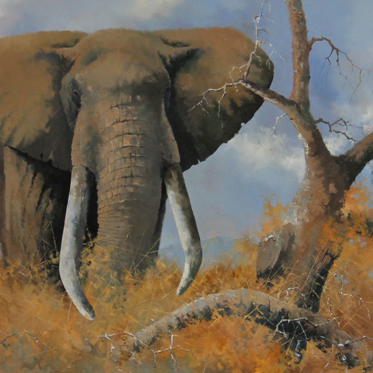 Neil_JV_Nievenhuizen_Elephant2_13873_341_IMG_3319_DT