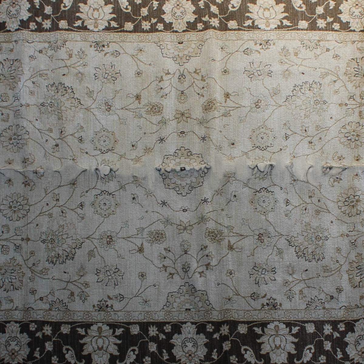 IMG_4397_2020March_4_14_DT_NEW_2