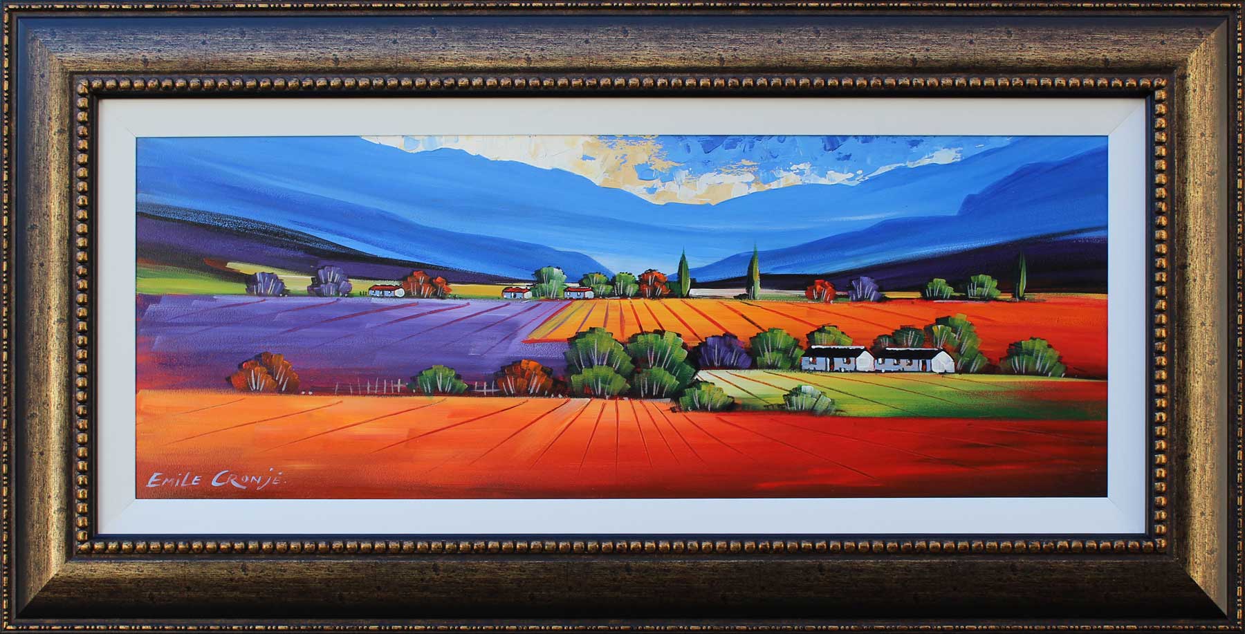 603_14546_55x90_IMG_6926_AFR