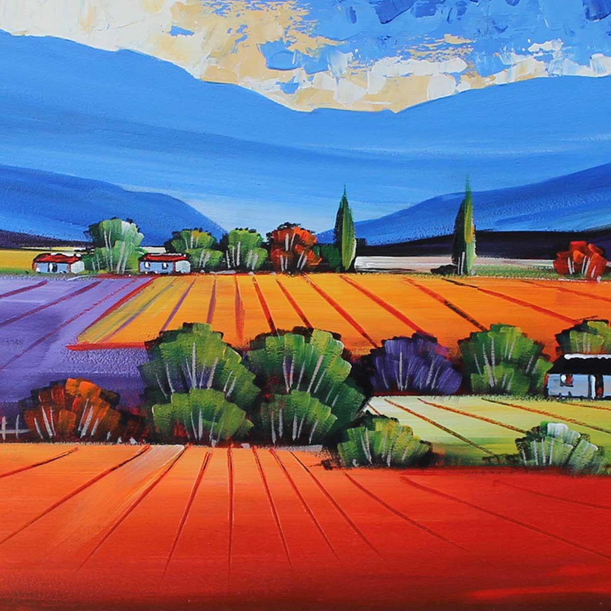 603_14546_55x90_IMG_6926_DT