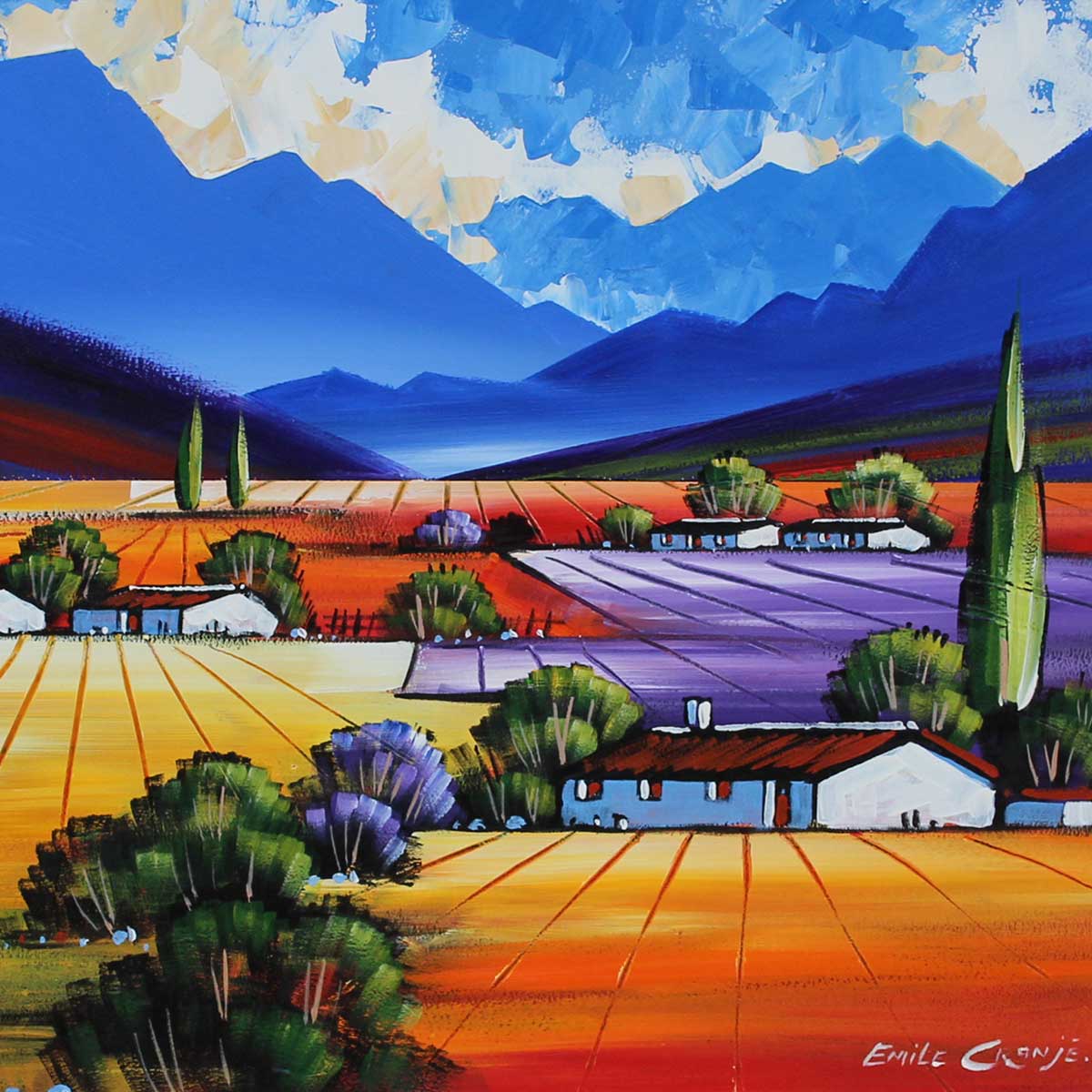 662_14642_IMG_2317_DT