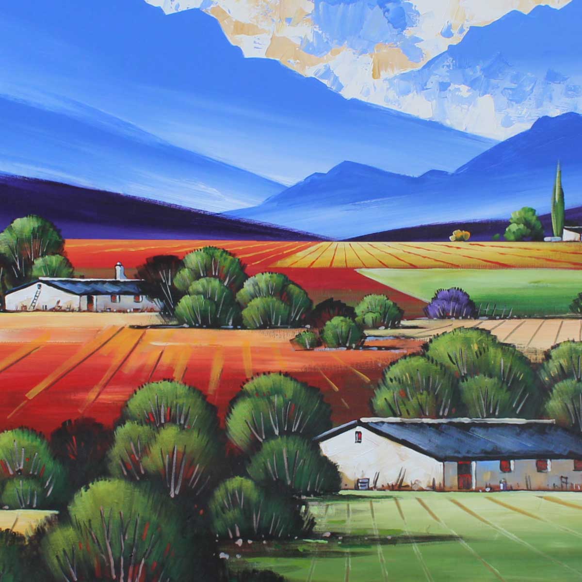 792_14790_IMG_2118_DT